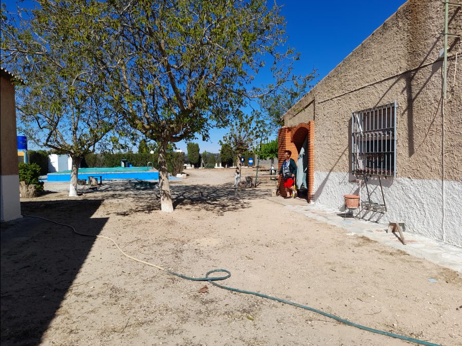 Finca de regadío con parras, casa y piscina — foto 10