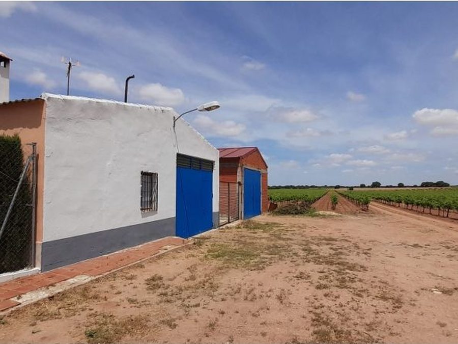 Se vende finca rústica a 12 km de Villarrobledo — foto 18