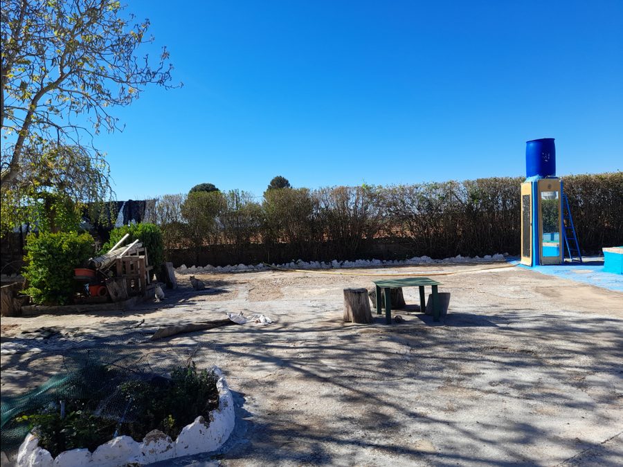 Finca de regadío con parras, casa y piscina — foto 12