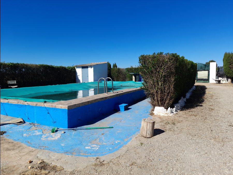 Finca de regadío con parras, casa y piscina — foto 14