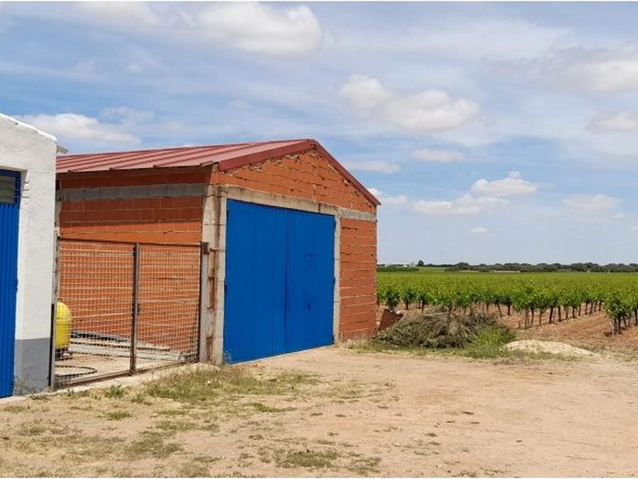 Se vende finca rústica a 12 km de Villarrobledo — foto 17