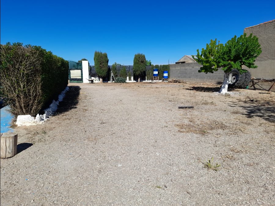 Finca de regadío con parras, casa y piscina — foto 16