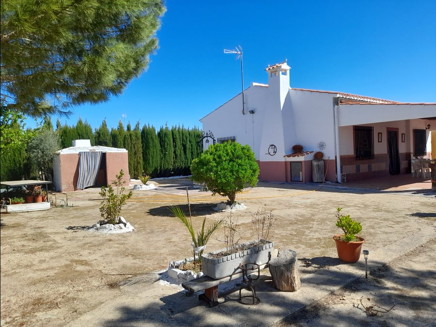 Finca de regadío con parras, casa y piscina — foto 17