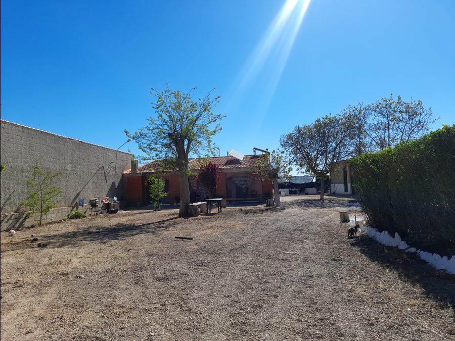Finca de regadío con parras, casa y piscina — foto 18