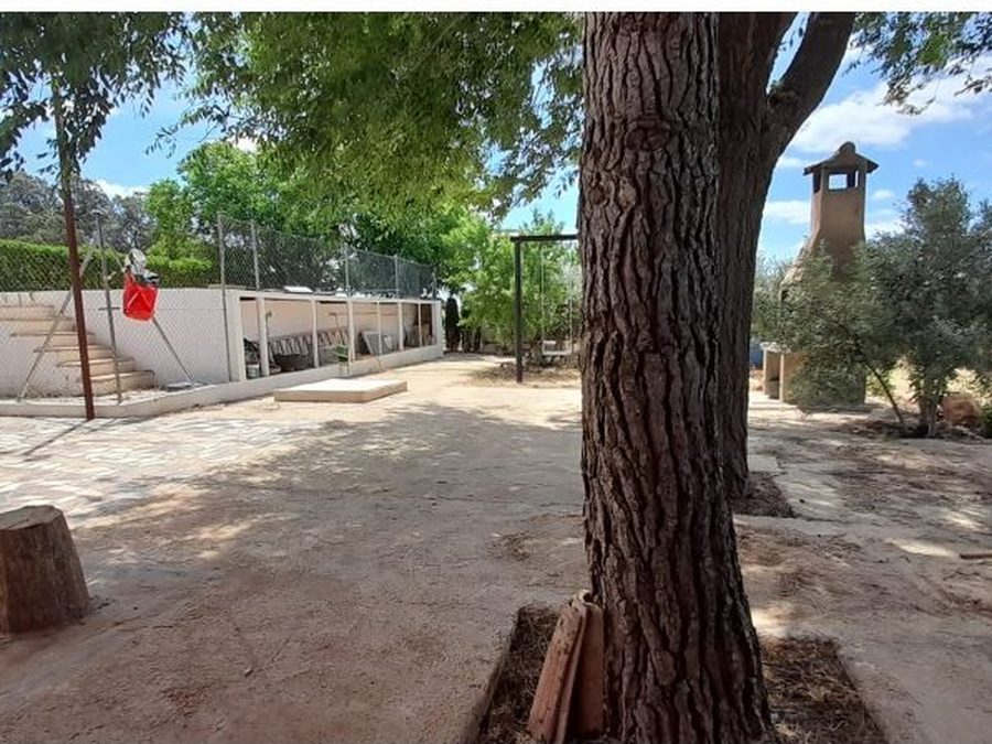 Se vende finca rústica a 12 km de Villarrobledo — foto 33