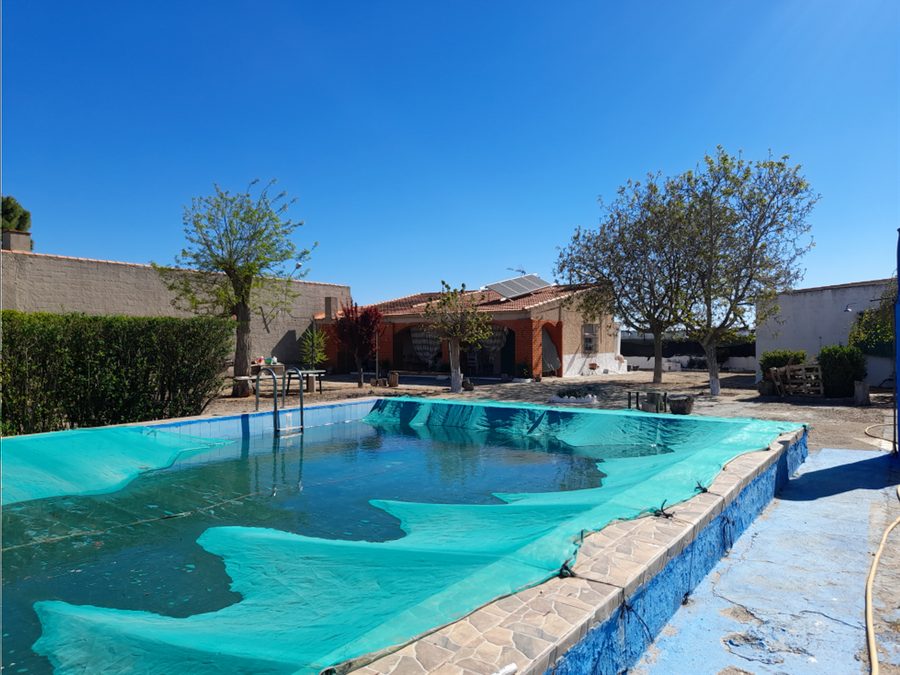 Finca de regadío con parras, casa y piscina — foto 4