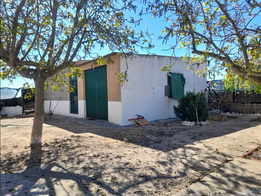Finca de regadío con parras, casa y piscina — foto 5