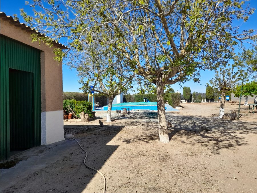 Finca de regadío con parras, casa y piscina — foto 8