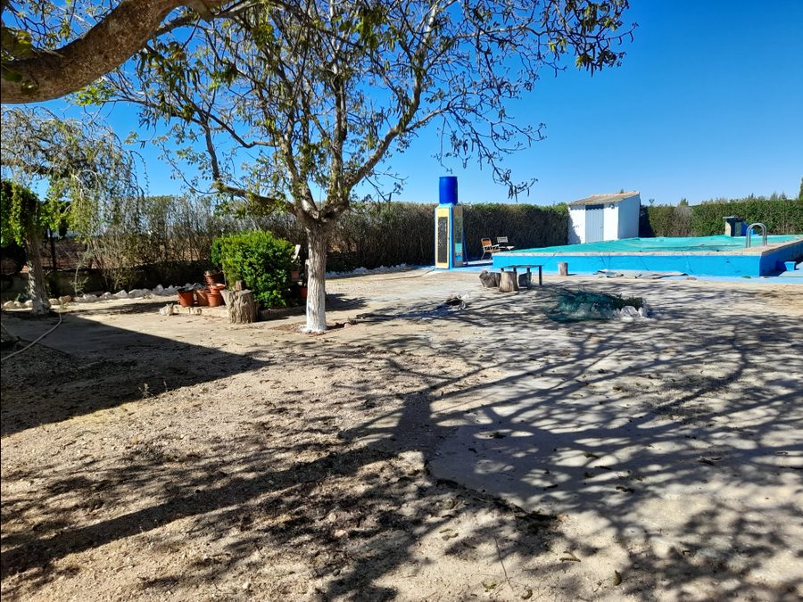 Finca de regadío con parras, casa y piscina — foto 9