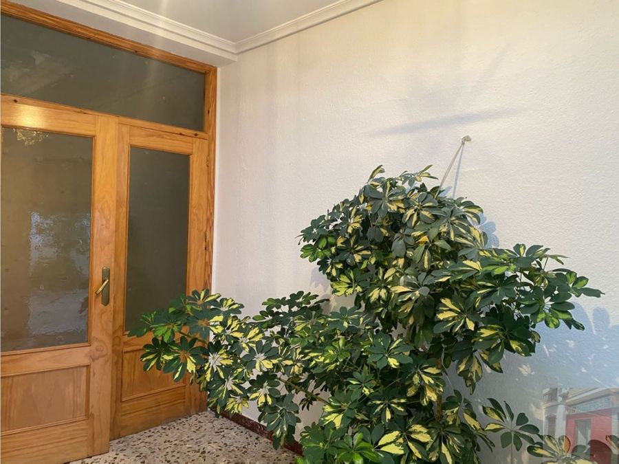 Se vende casa planta baja — foto 7